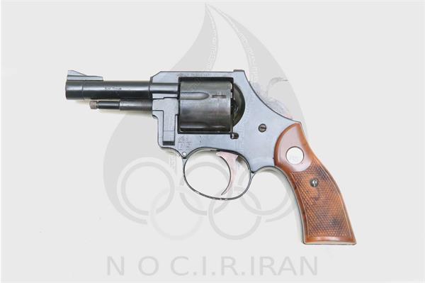 تفنگ استارت شنا