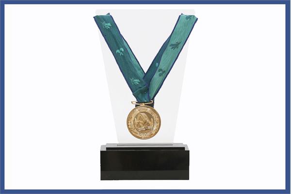 World Silver MedalShooting Gold Medal