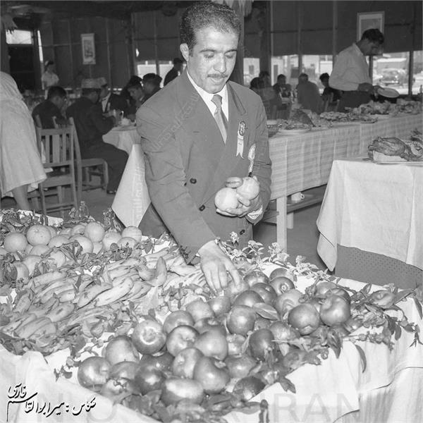 بازی های المپیک 1956 ملبورن