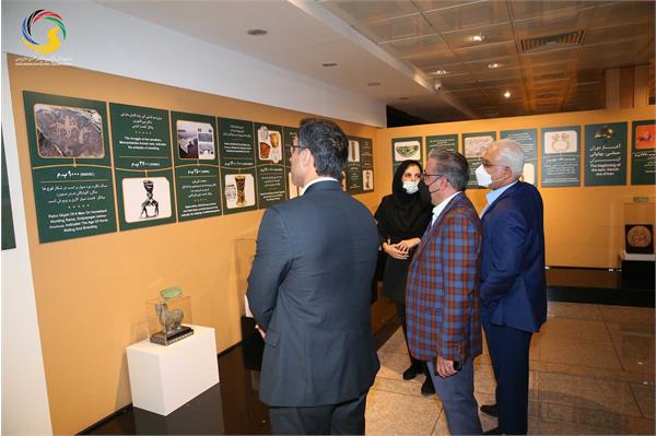 بازدید ریاست اتاق بازرگانی ایران و قطر از موزه ملی ورزش، المپیک، پارالمپیک