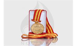 مدال طلا مسابقات قهرمانی آسیا چین 2003 - محسن بیرانوند