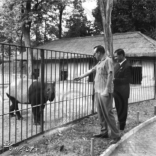 بازی های المپیک 1960 رم، ایتالیا