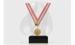 تنها مدال طلا انفرادی تاریخ شمشیربازی آسیا (آقایان)