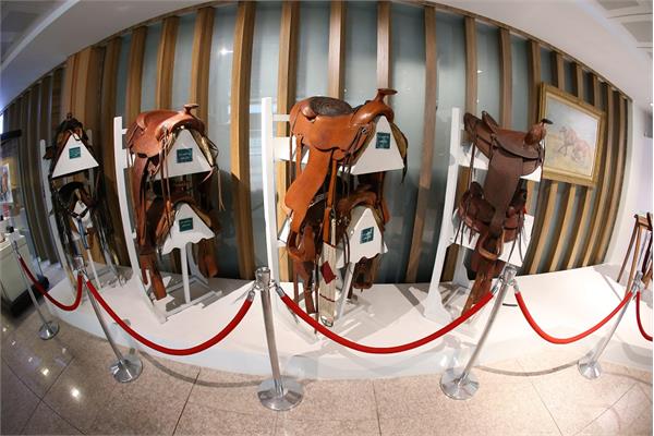 چوگان و سوارکاری