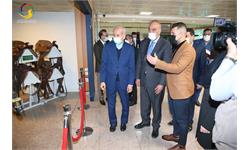 بازدید رئیس و دبیرکل کمیته ملی المپیک عراق از موزه ملی ورزش المپیک و پارالمپیک