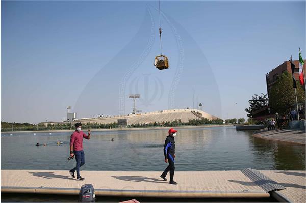 کمیسیون ورزش و محیط زیست