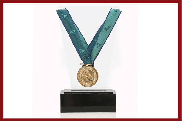 World Silver MedalShooting Gold Medal