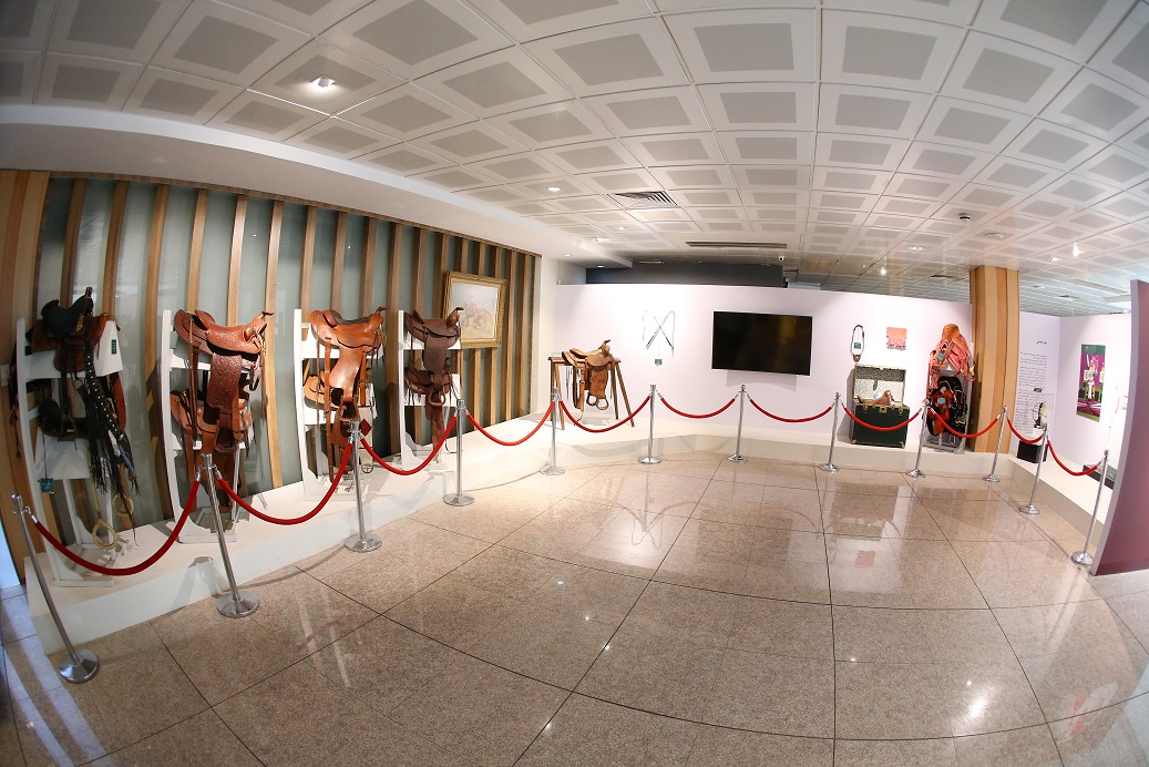 چوگان و سوارکاری