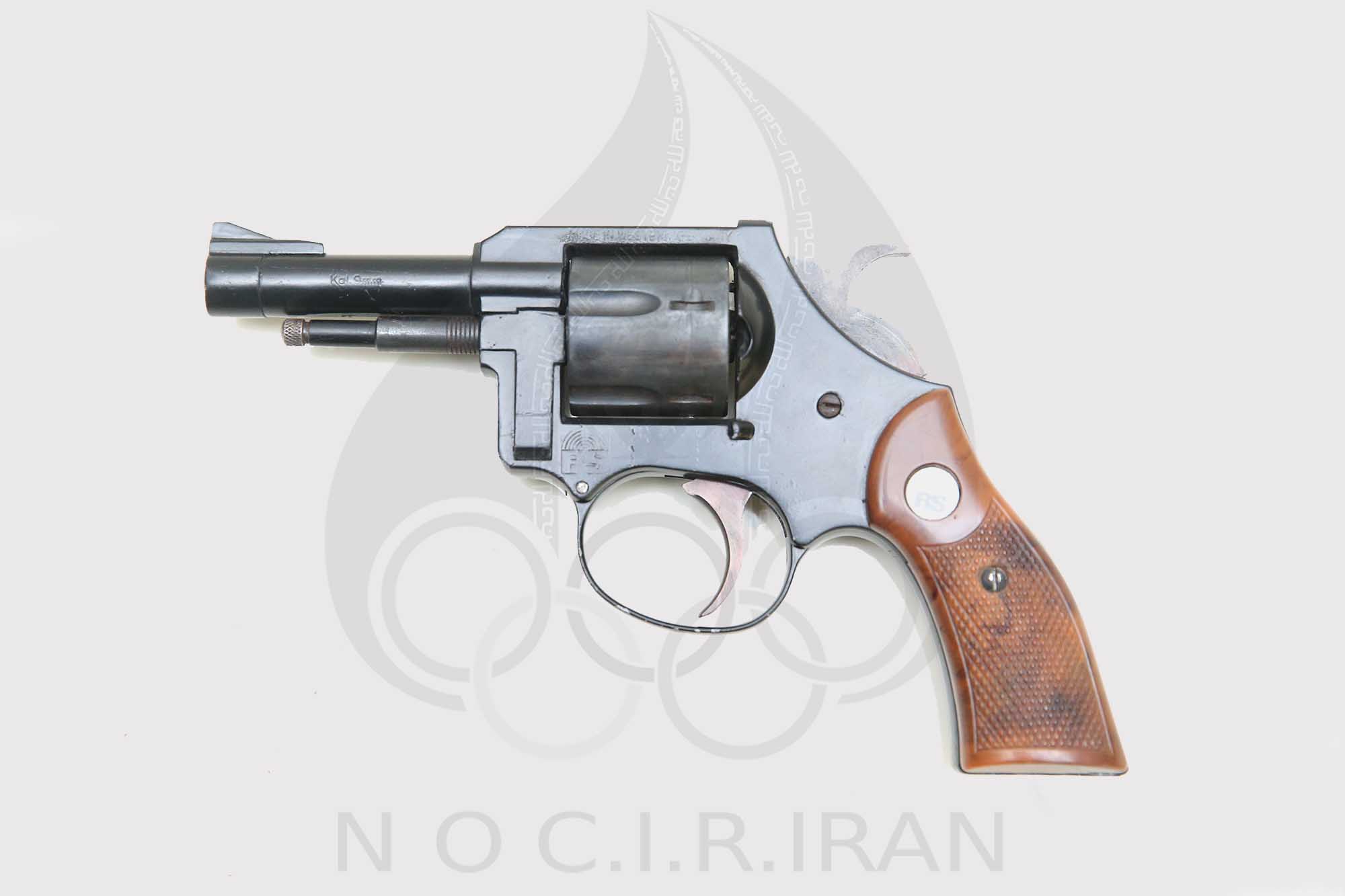 تفنگ استارت شنا