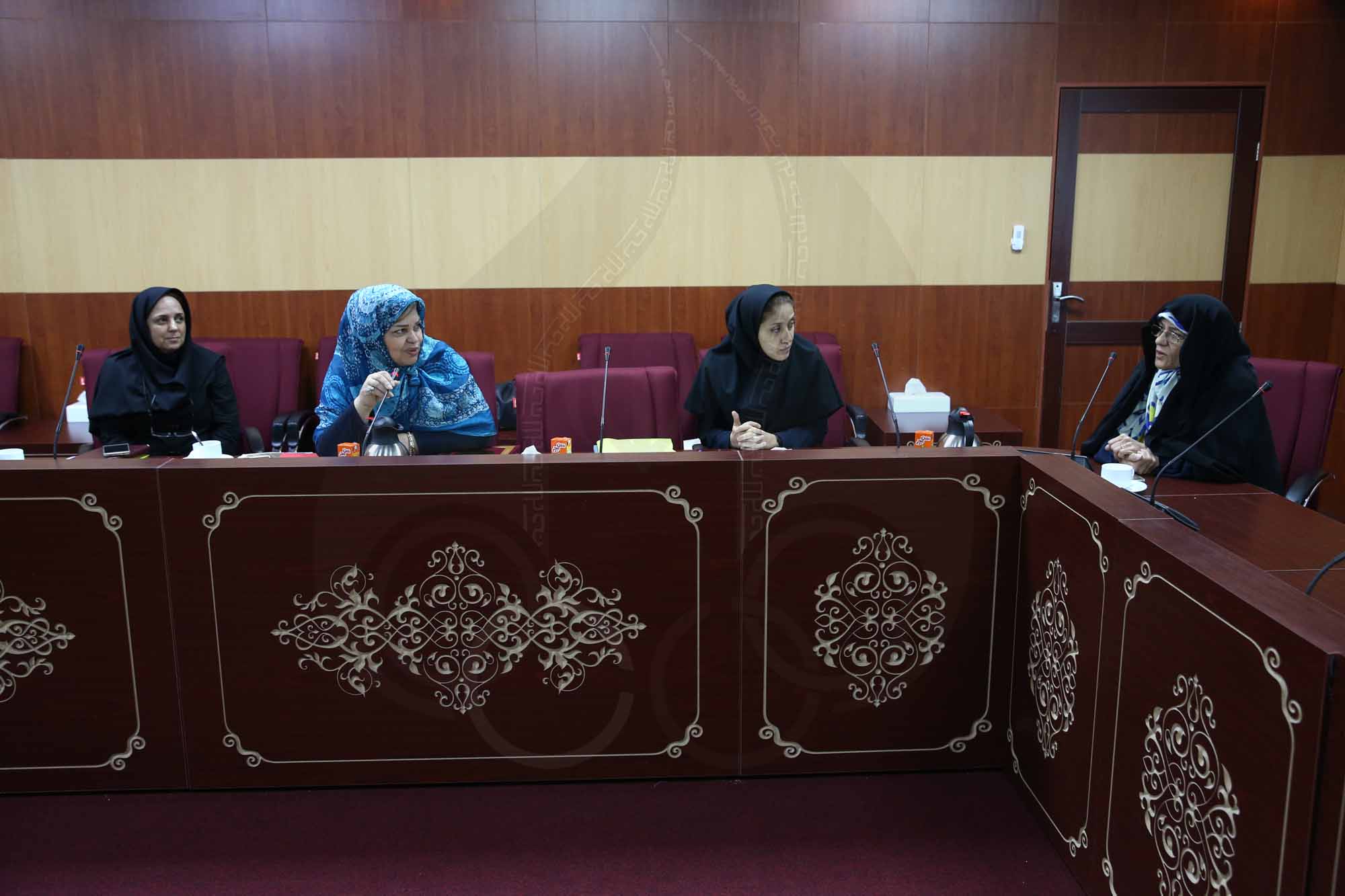 کمیسیون ورزش و محیط زیست